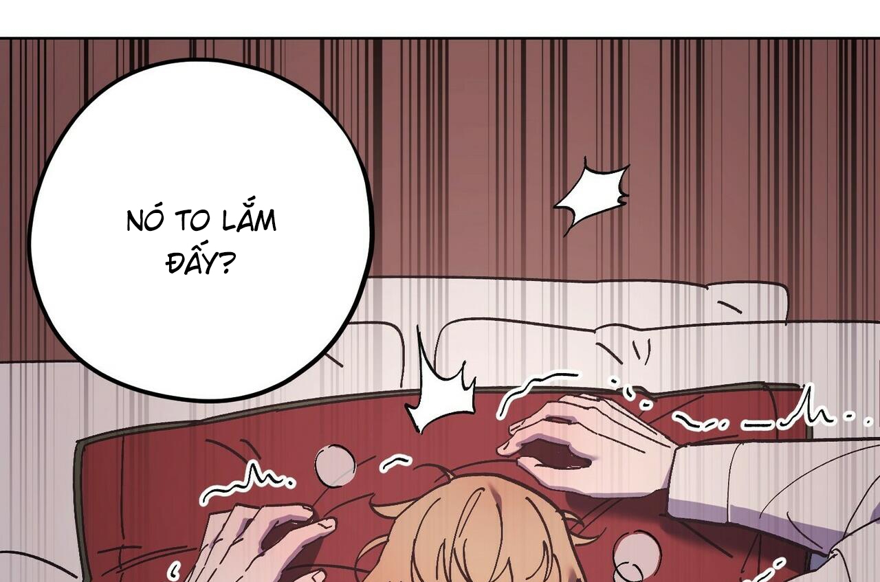 chàng dâu nhà họ kang chapter 28 92