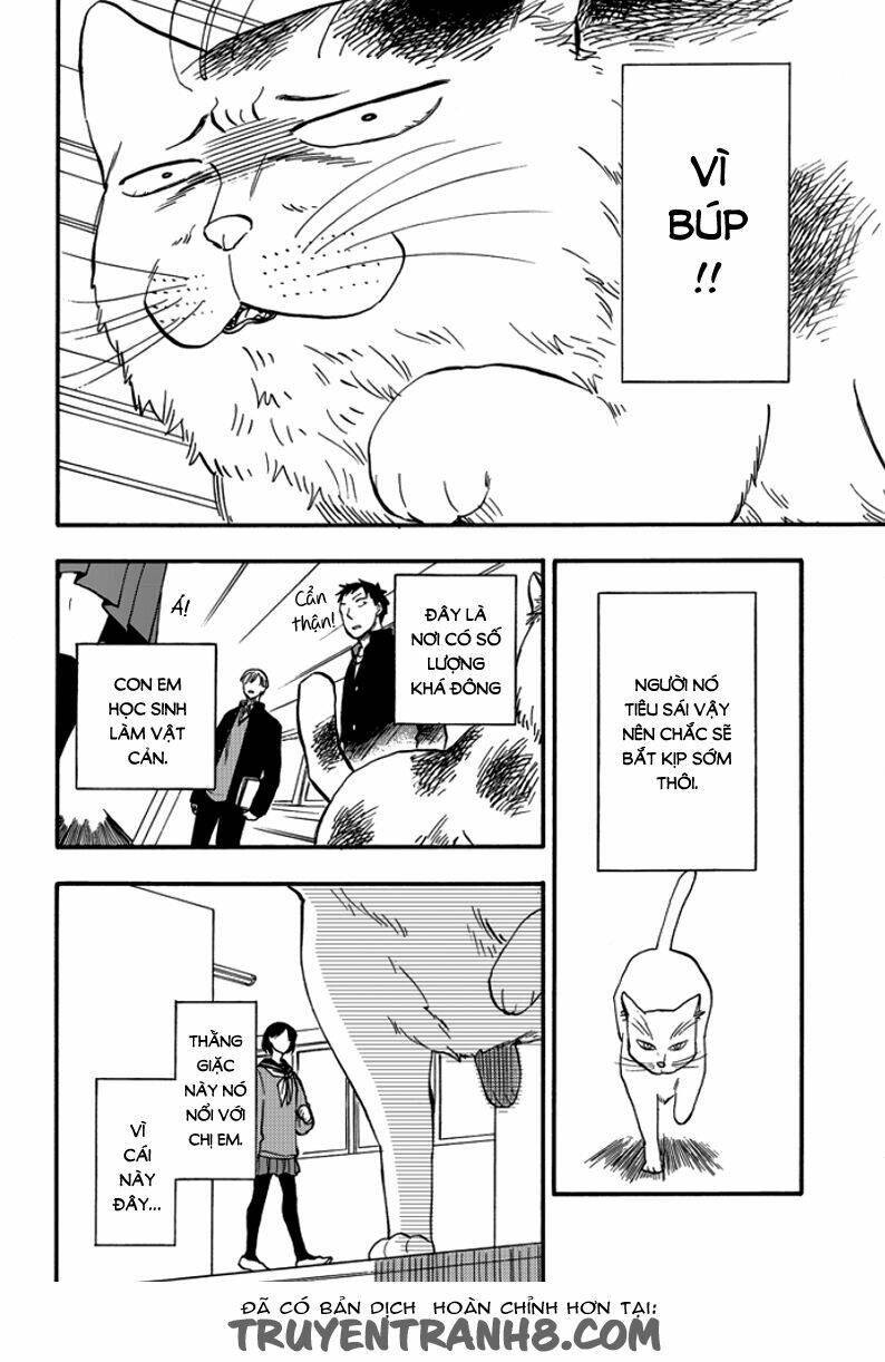 tui là busamen! chapter 2 9