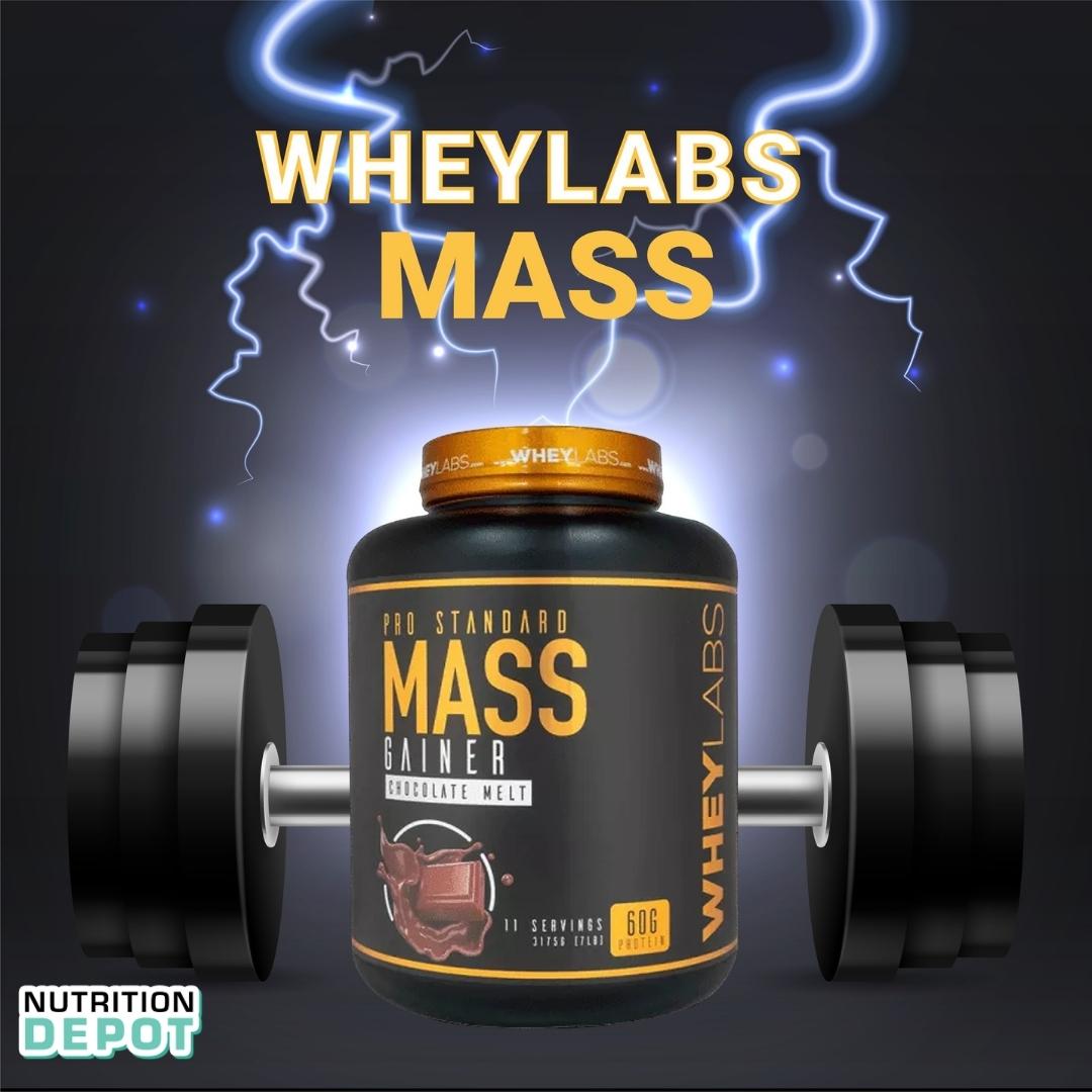 Hình ảnh Sữa tăng cân và tăng cơ Wheylabs Mass Gainer Pro Standard 3.1kg - Nutrition Depot Vietnam