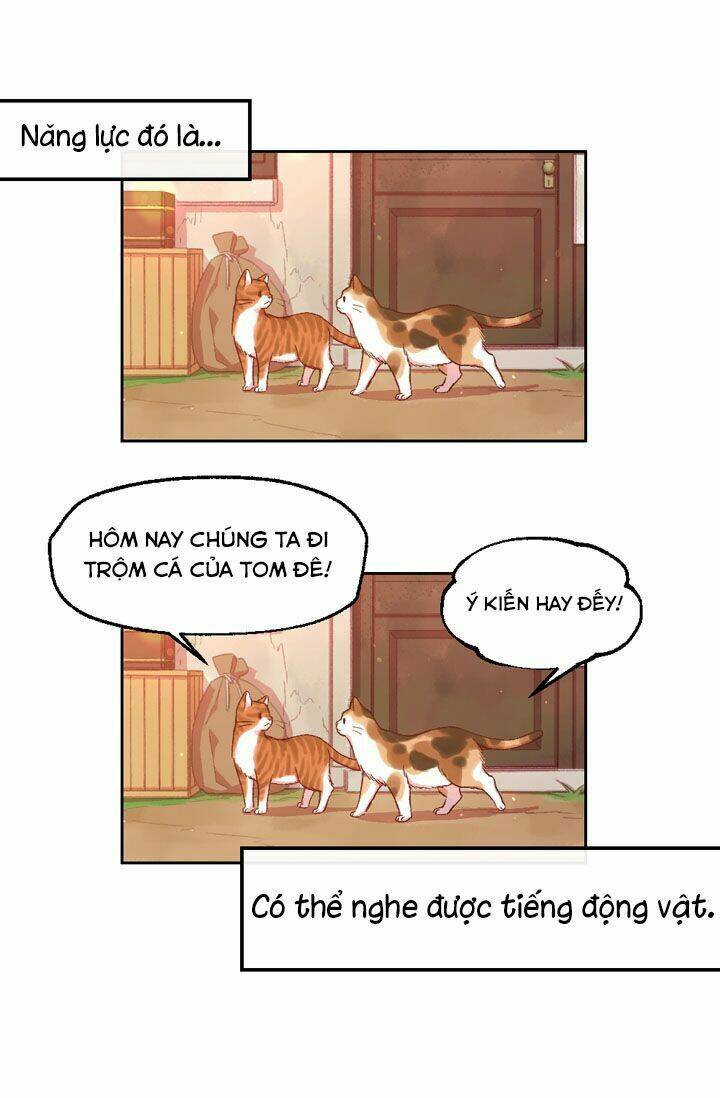 tuyển tập prologue hàn chapter 13 7