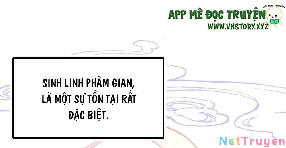 lại bị bệnh chiều chuộng quấn lấy chapter 74 5