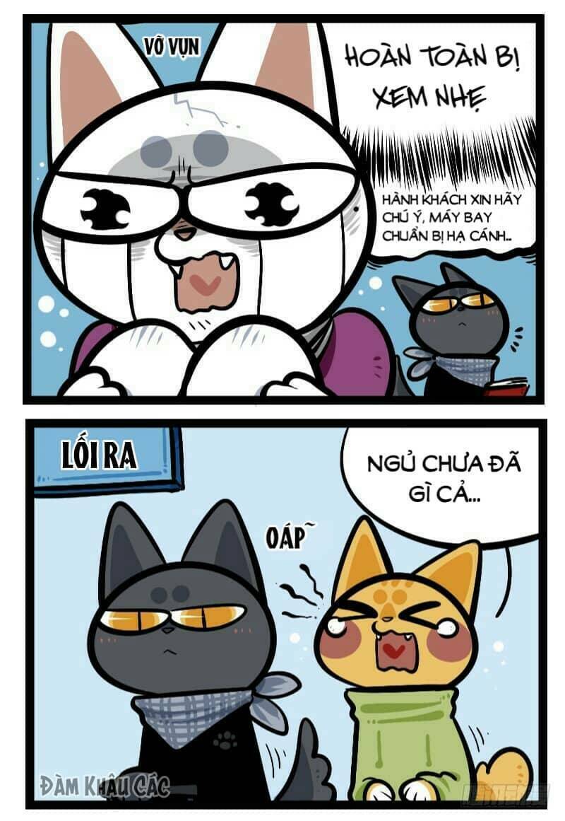 đời không như mình tưởng chapter 43 6