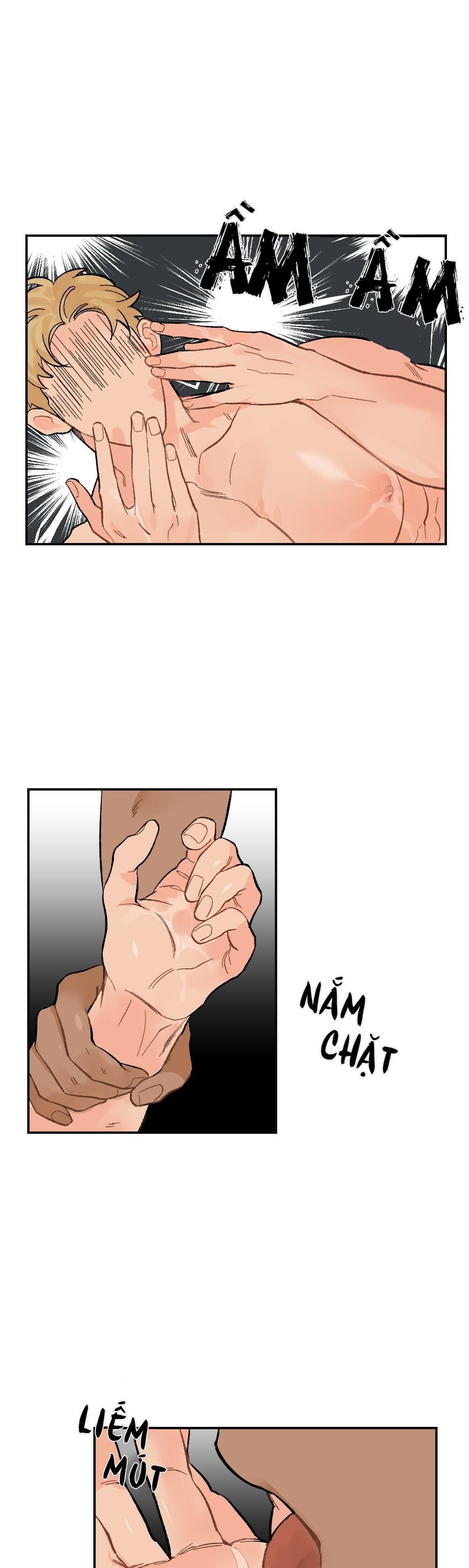 chăm sóc chapter 6 31