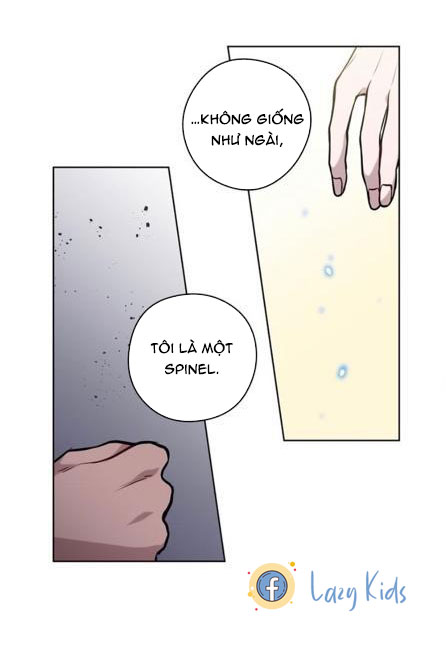 Spinel chapter 24