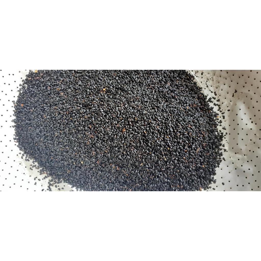 Hạt keo giống