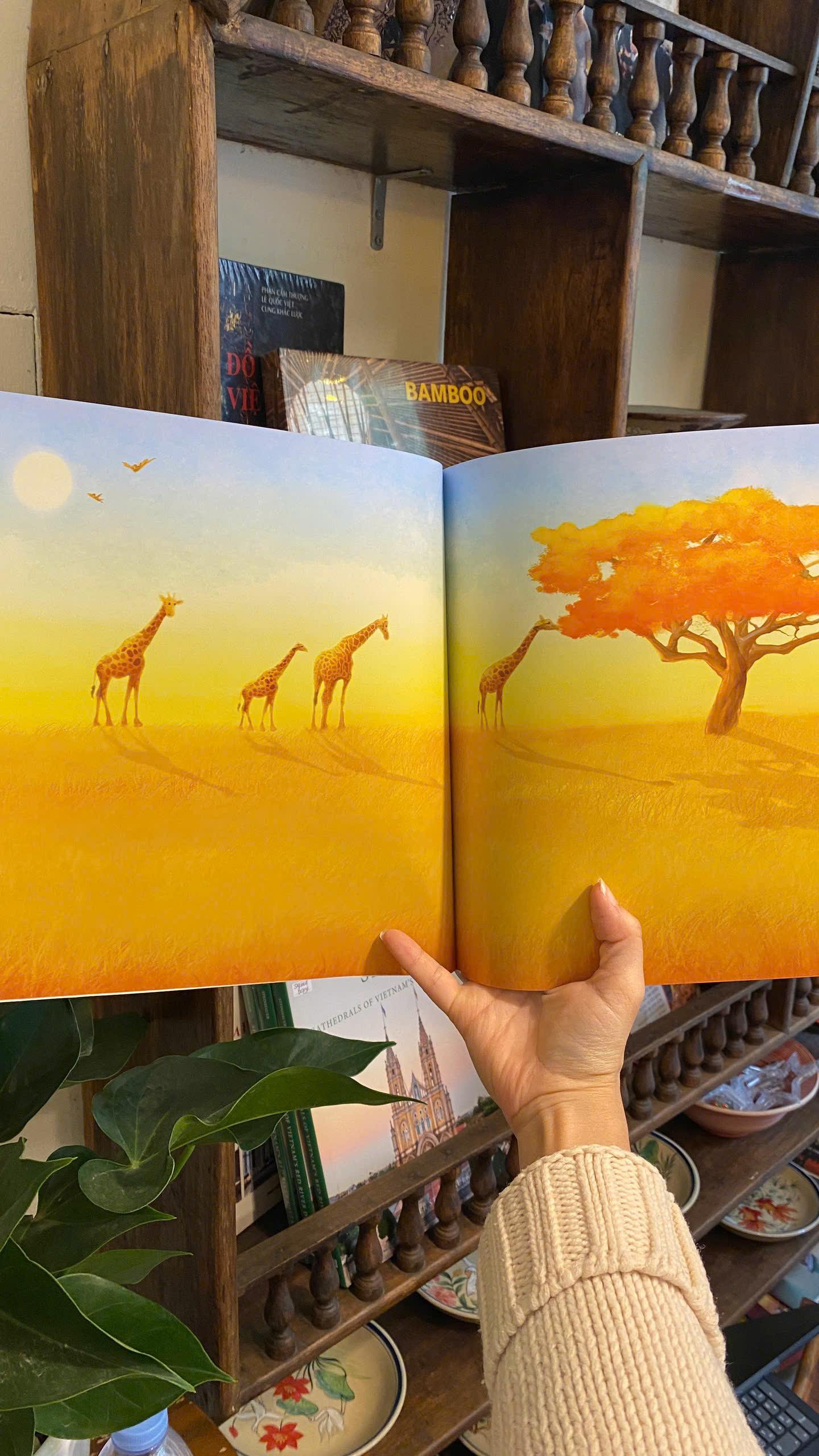 Sách - Milly the Meerkat (Picture Storybooks) by Oakley Graham | Children's Book - Sách ngoại văn