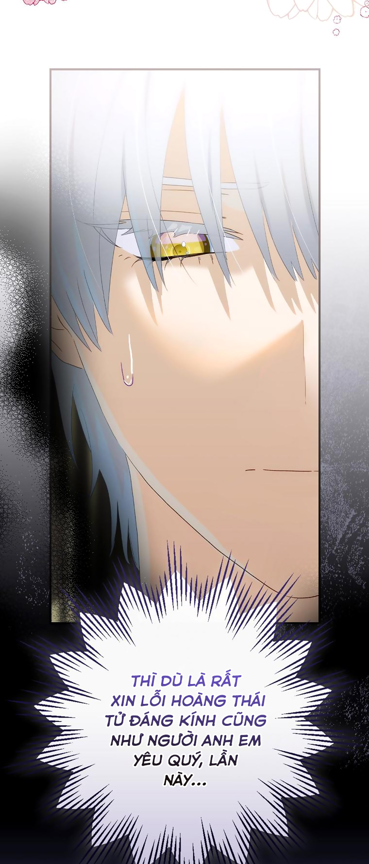 đứa bé không phải là con của anh chapter 63 19