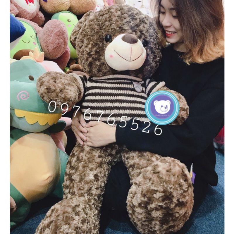 Gấu bông teddy - Teddy mặc áo len - Gấu Bông Hana