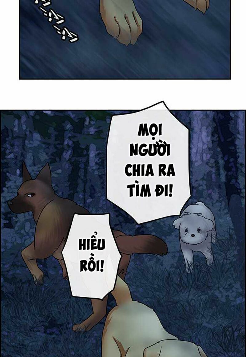 nụ hôn nguyền rủa chapter 103 21