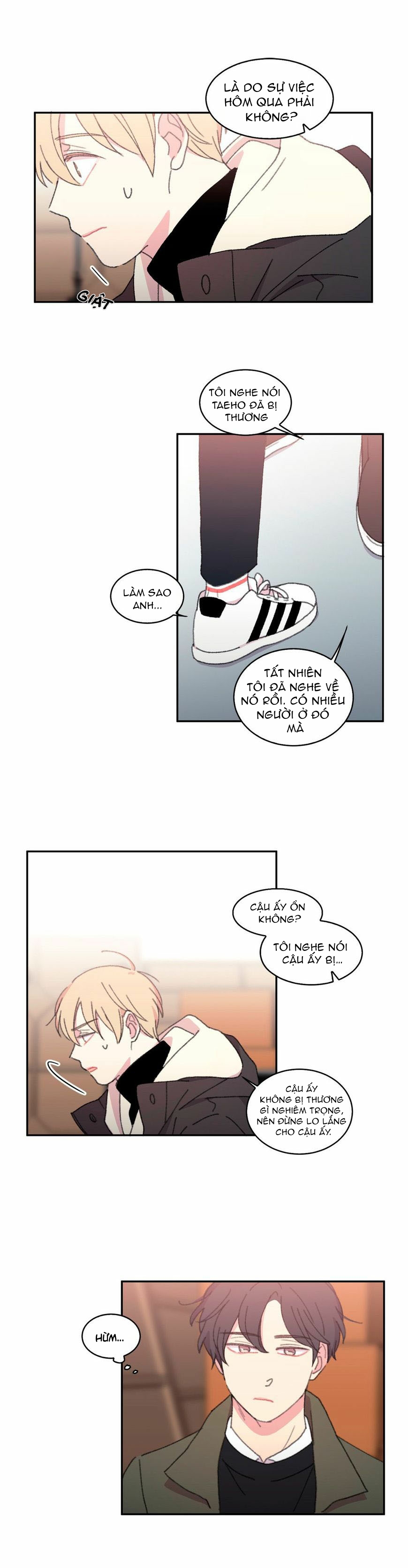 chẳng thể rời mắt khỏi cậu chapter 17 16