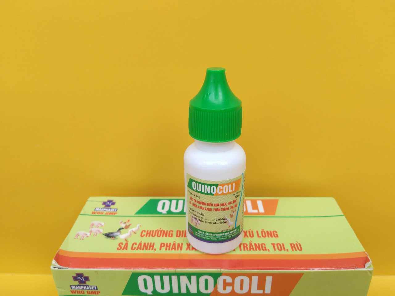 1 lọ quinocoli 10ml trị chướng diều, khô chân, xù lông, phân xanh trắng, toi, rù cho chim, vẹt, gia cầm