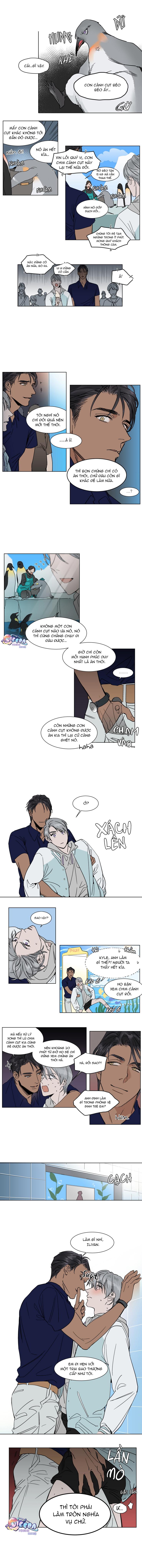 scandal đời tư chapter 11 6