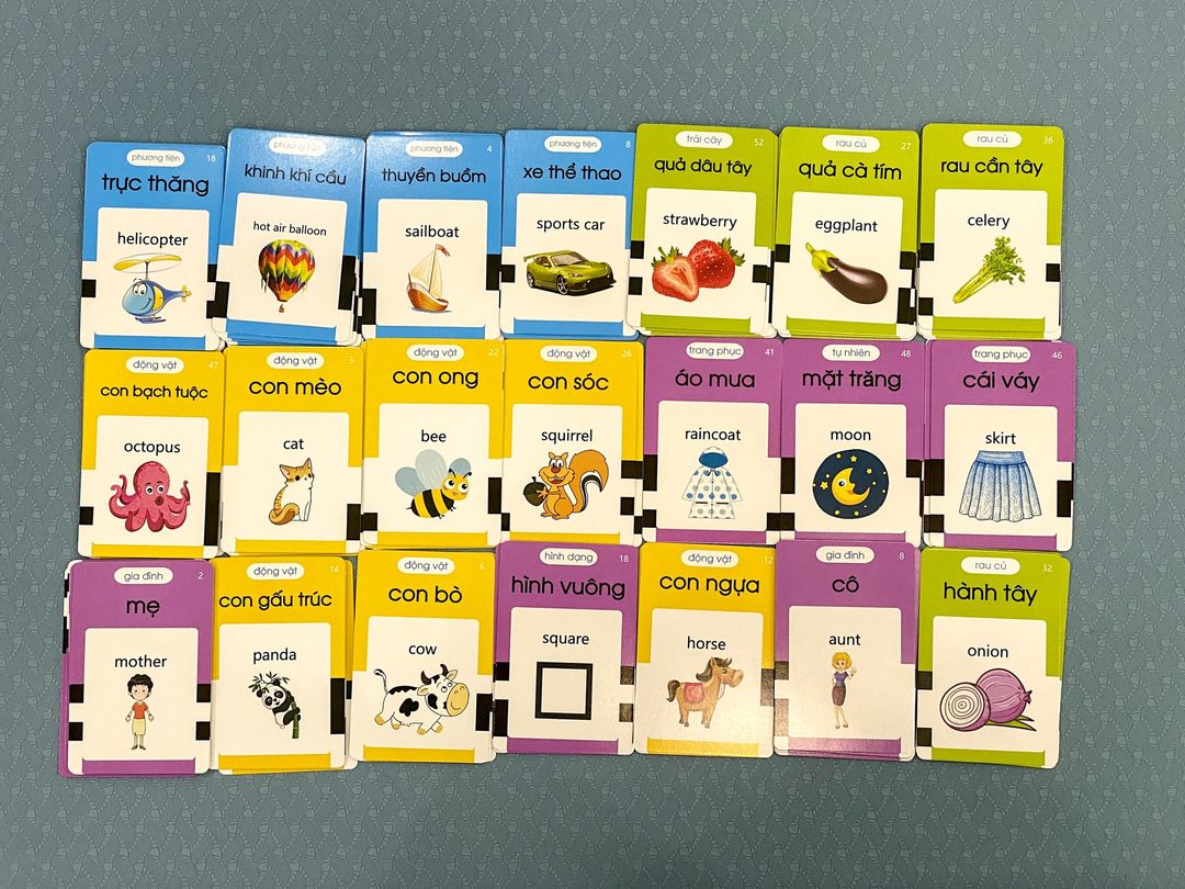 Máy Đọc Thẻ Tiếng Anh, Máy Đọc Thẻ Flashcard Song Ngữ Anh Việt 224 Từ Vựng