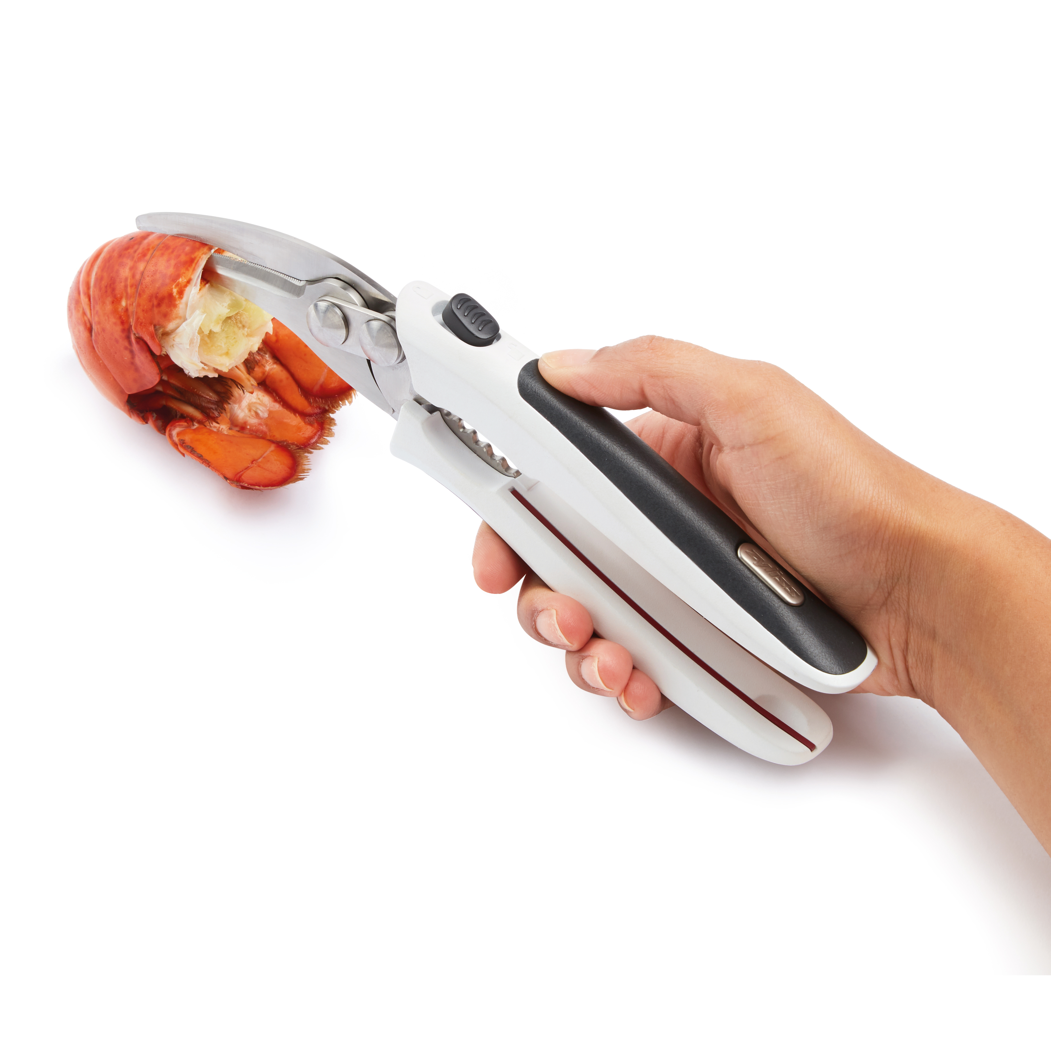 Kéo cắt vỏ sò Zyliss Shellfish Shears - E910039
