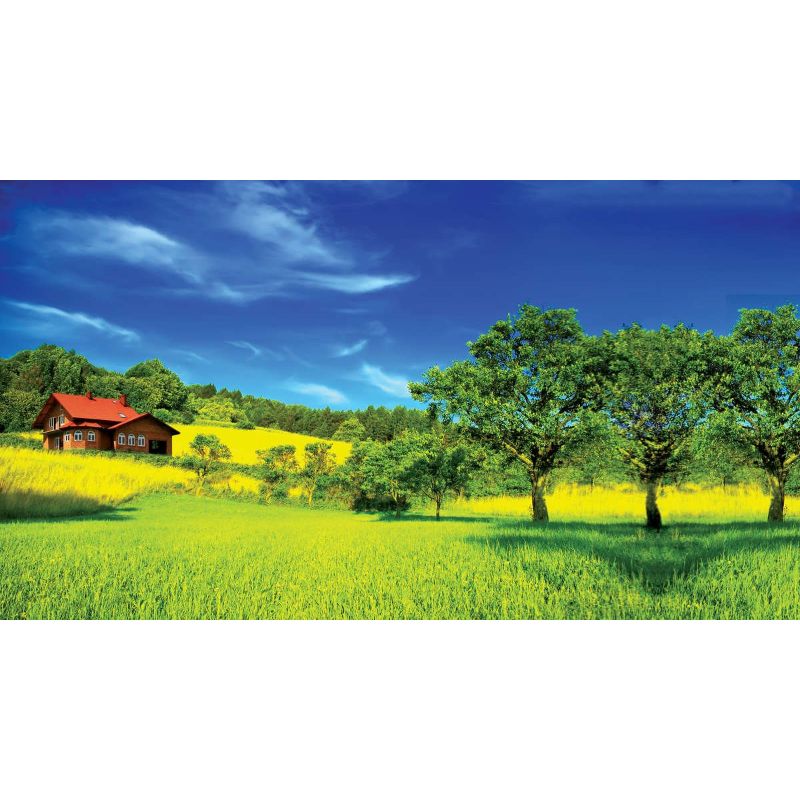 Tranh Dán Tường 3D Cao Cấp Human_63099
