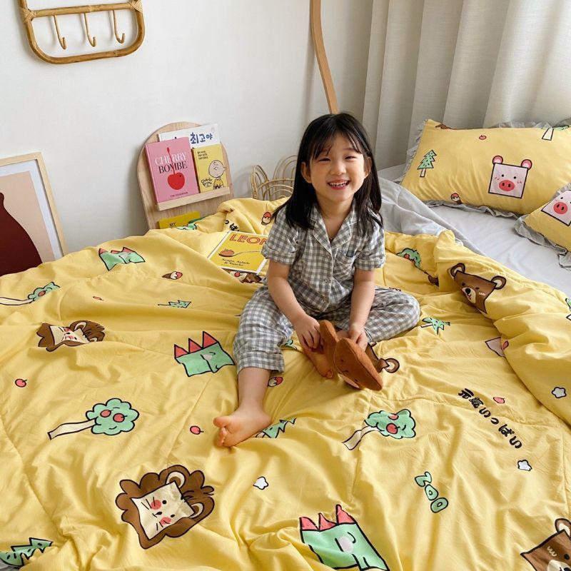 Bộ chăn ga gối Đũi bèo chăn hè trần bông đẹp miễn chê