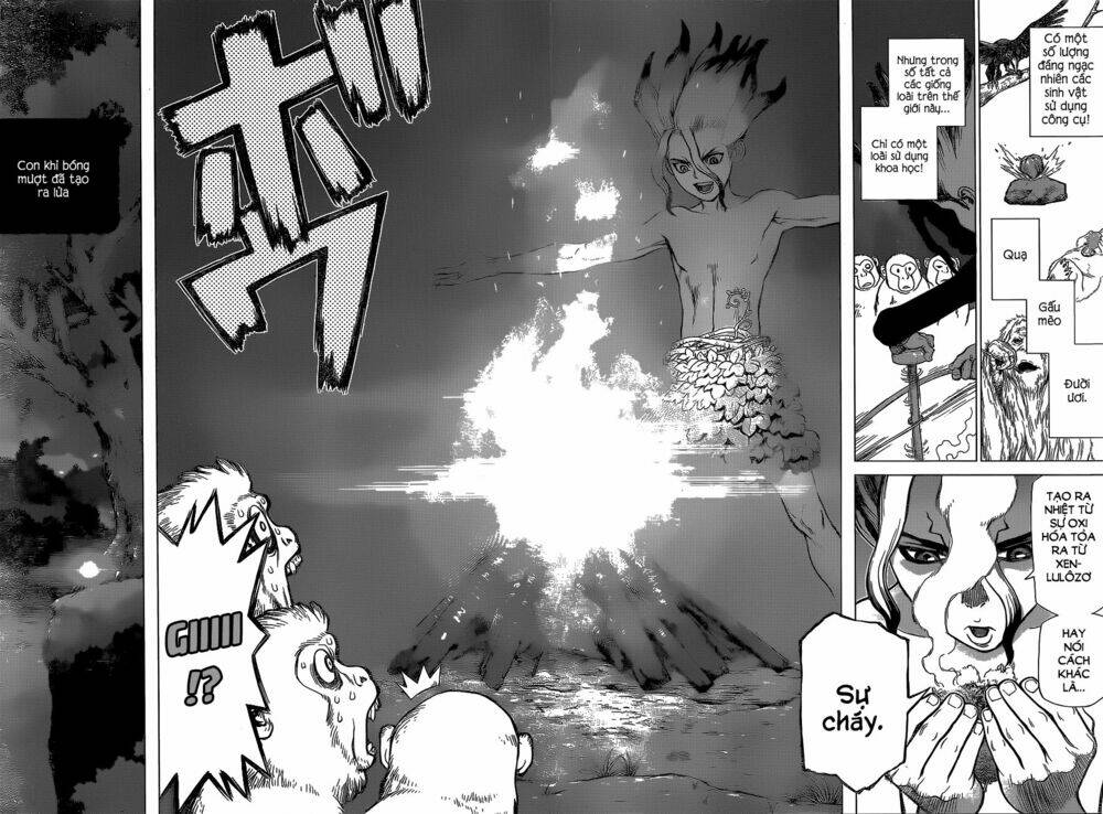 dr.stone - hồi sinh thế giới chapter 13 16