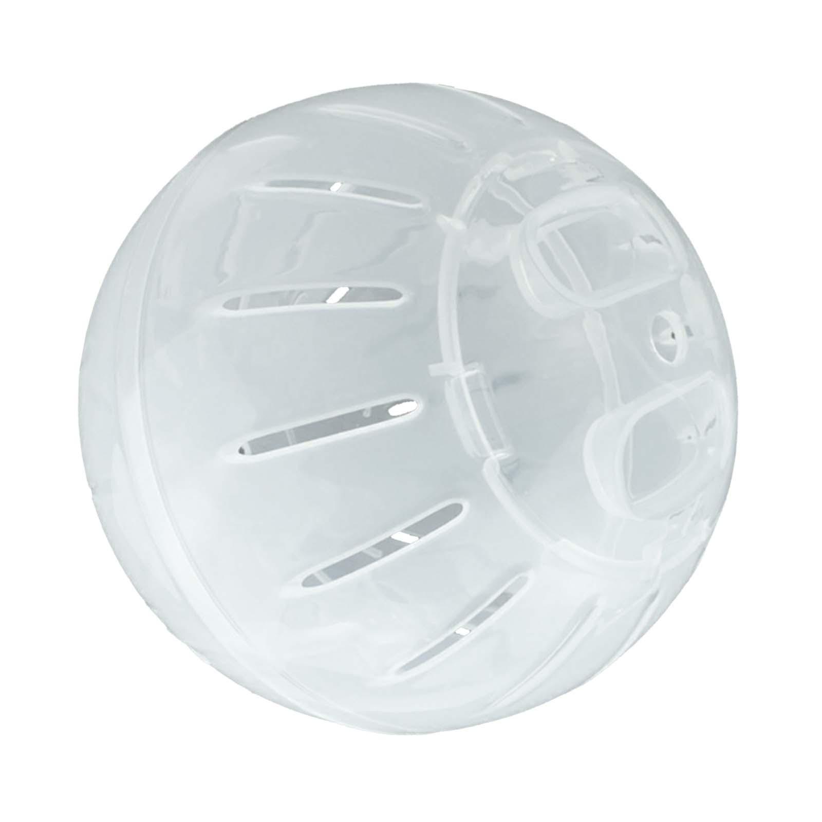 Dwarf Hamster Exercise Ball Cute Hamster for Chinchilla Jogging