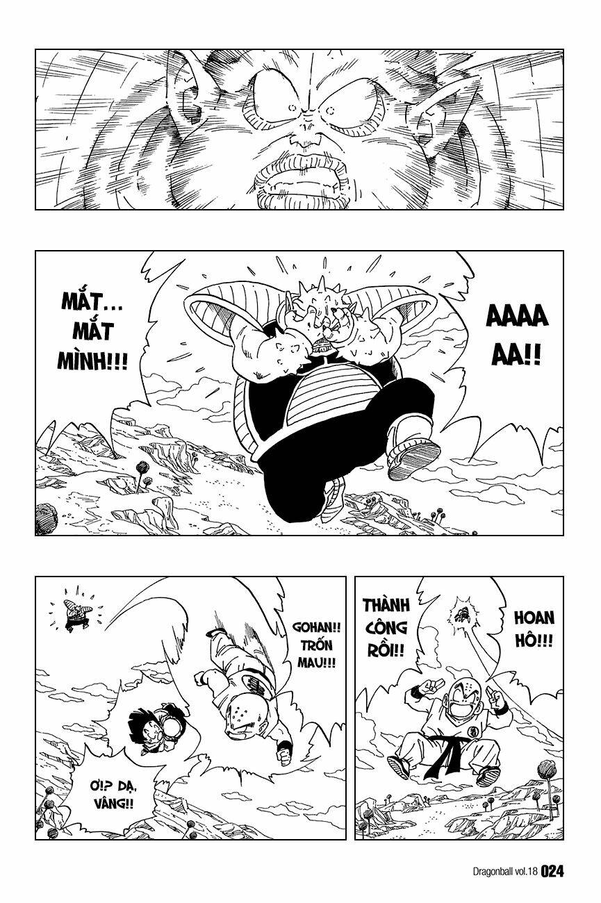 dragon ball - bảy viên ngọc rồng chapter 256 5