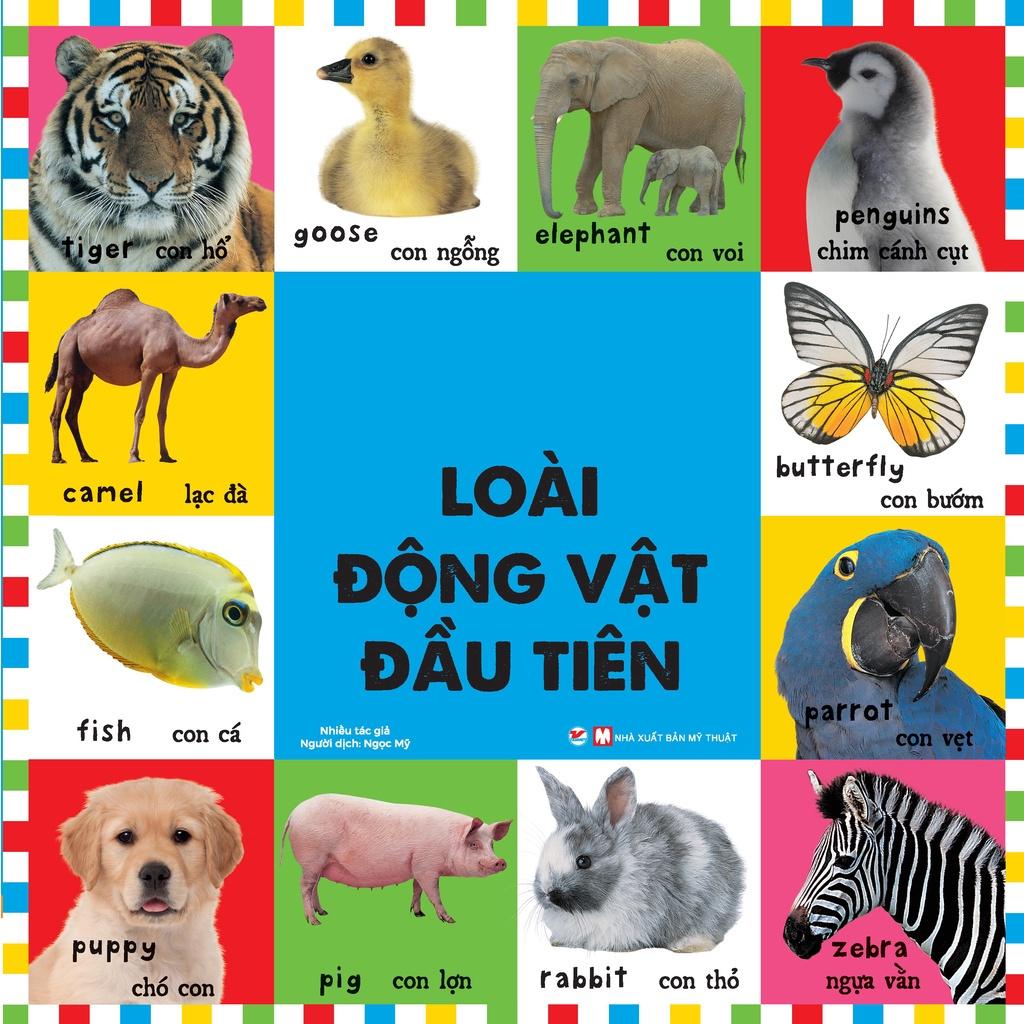 Từ Vựng Đầu Đời Cho Bé - 100 Loài Động Vật Đầu Tiên  - Bản Quyền