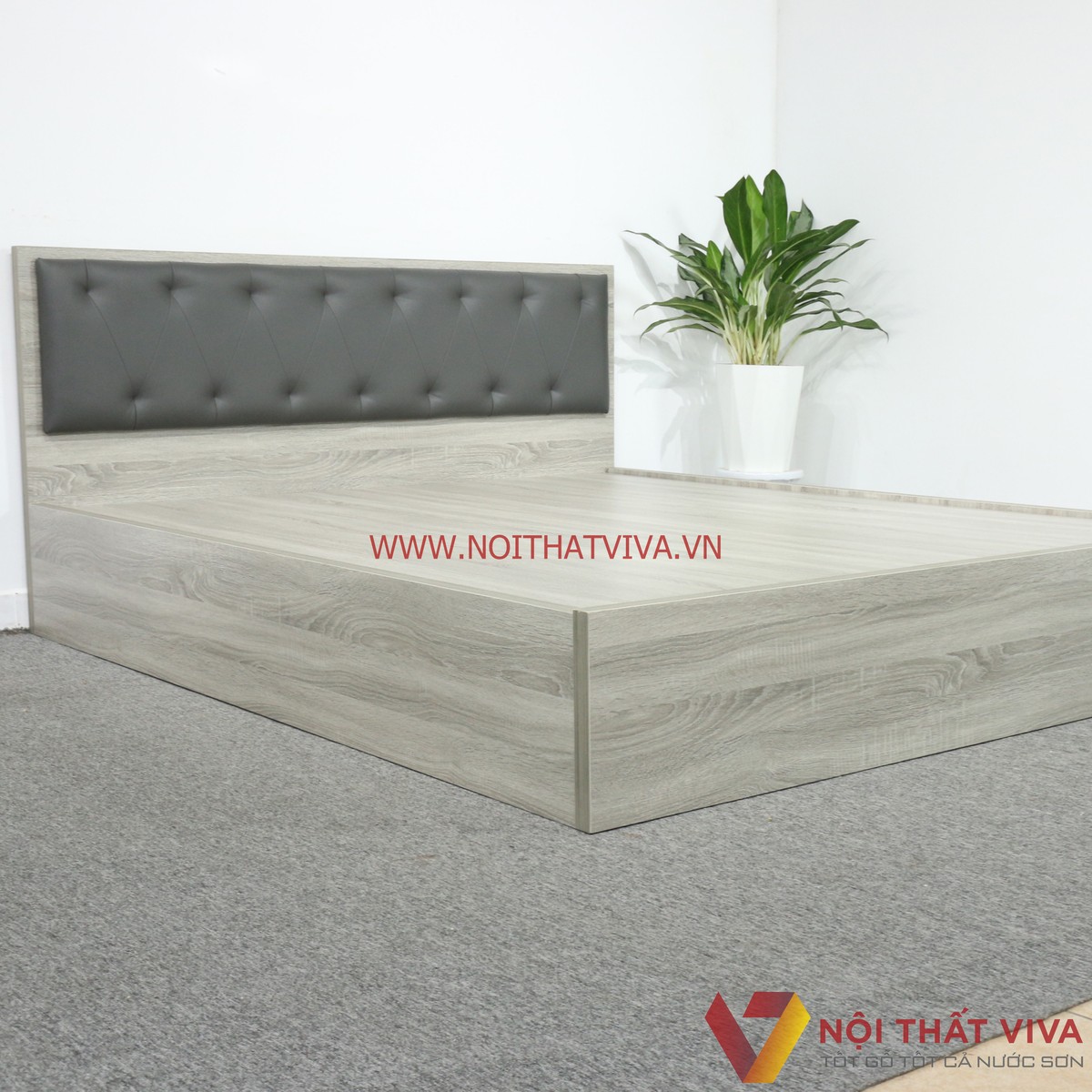 Giường Ngủ Gỗ MDF Melamine Màu Xám Vân Gỗ Có Đầu Nệm Đen Đẹp Hiện Đại