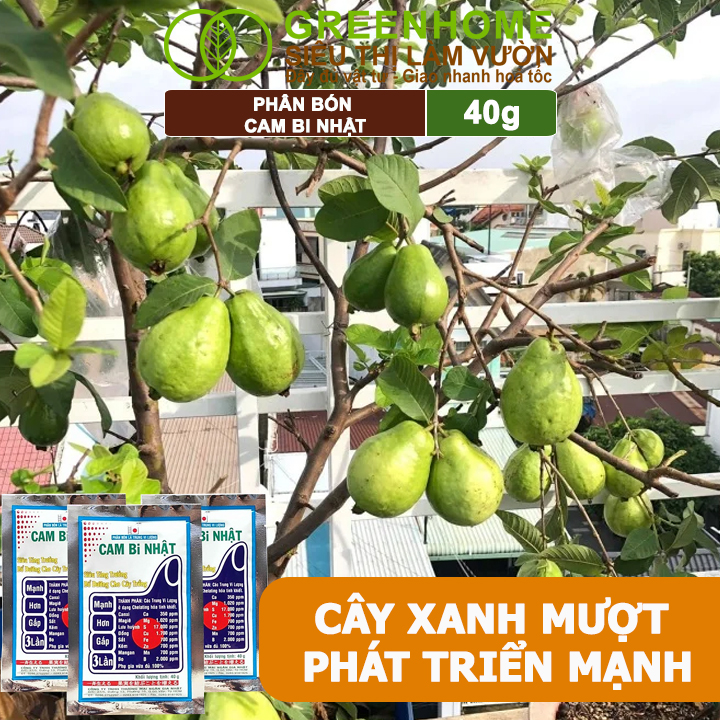 Phân Bón Lá Trung Vi Lượng CamBi Nhật, GreenHome,Gói 40Gr, Siêu Tăng Trưởng Cho Cây Trồng