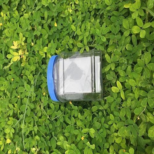 Keo bẫy chim sẻ - Siêu dính gfgfg