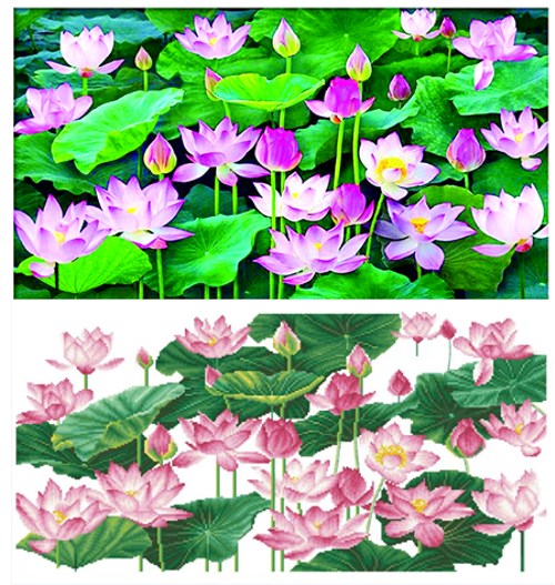 Tranh đính đá hoa sen VS136 - 90 x 53 cm - chưa đính