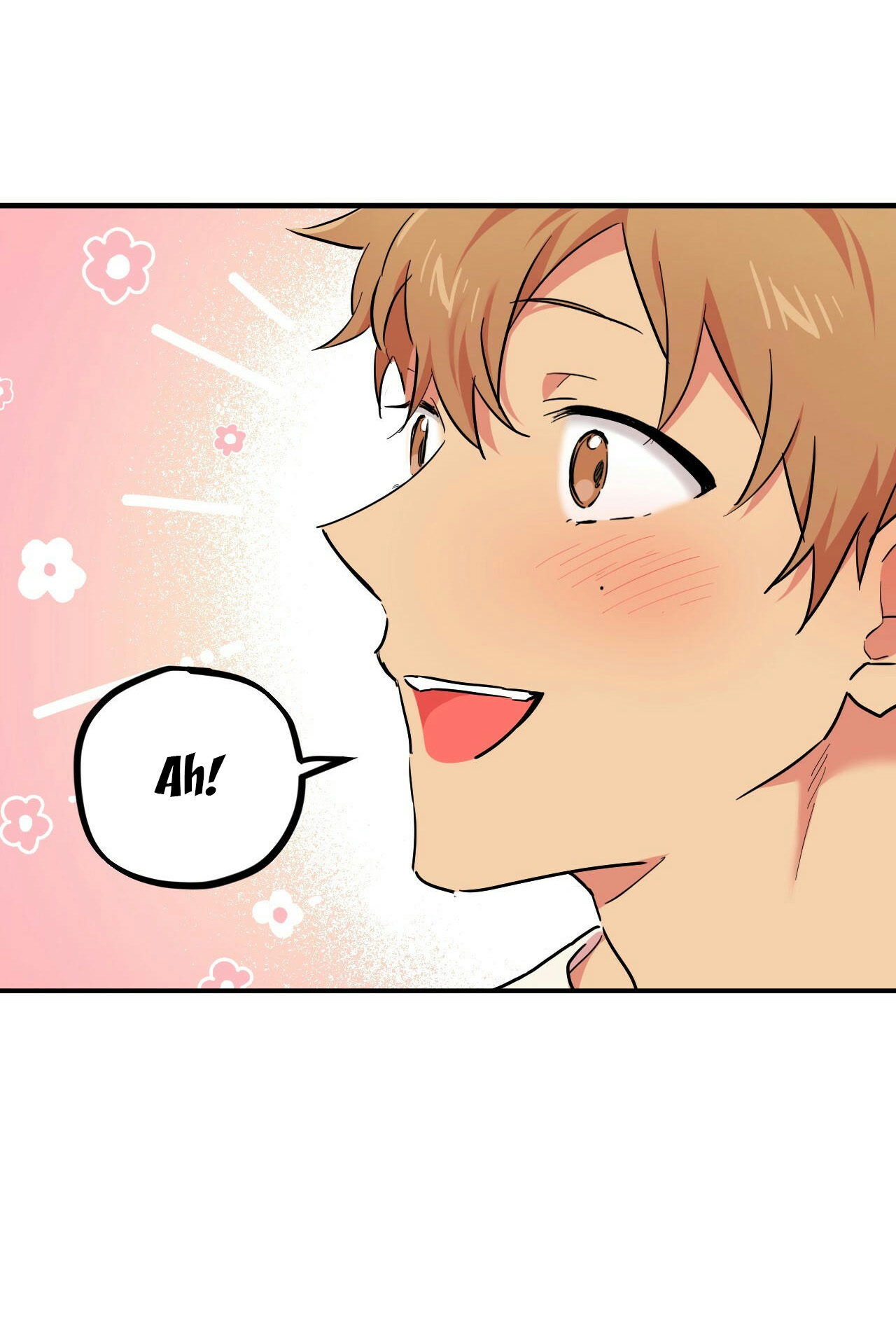 những chú thỏ của hapypy chapter 4 44