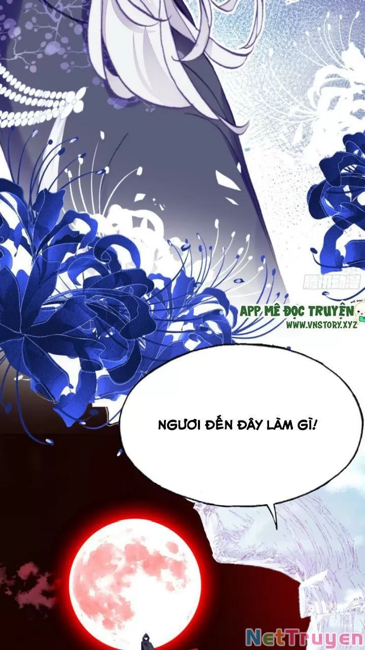 lại bị bệnh chiều chuộng quấn lấy chapter 23 19