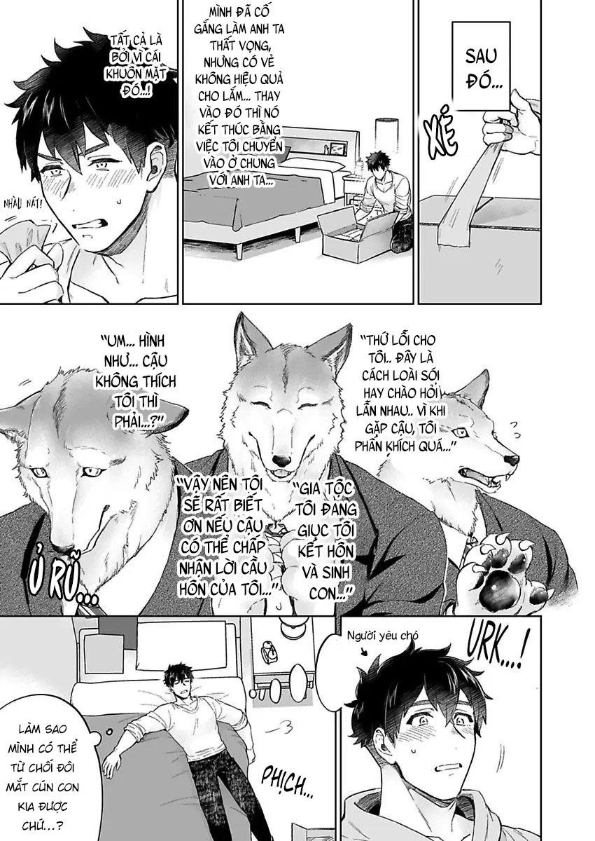 chồng sói cứ dính lấy tôi trên giường chapter 1 11