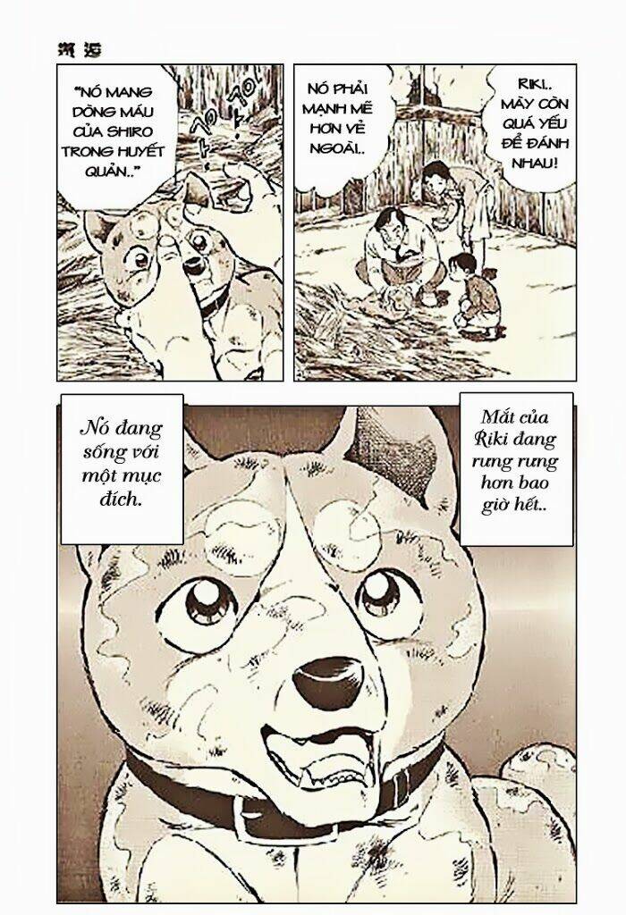 ginga densetsu riki chapter 3 23