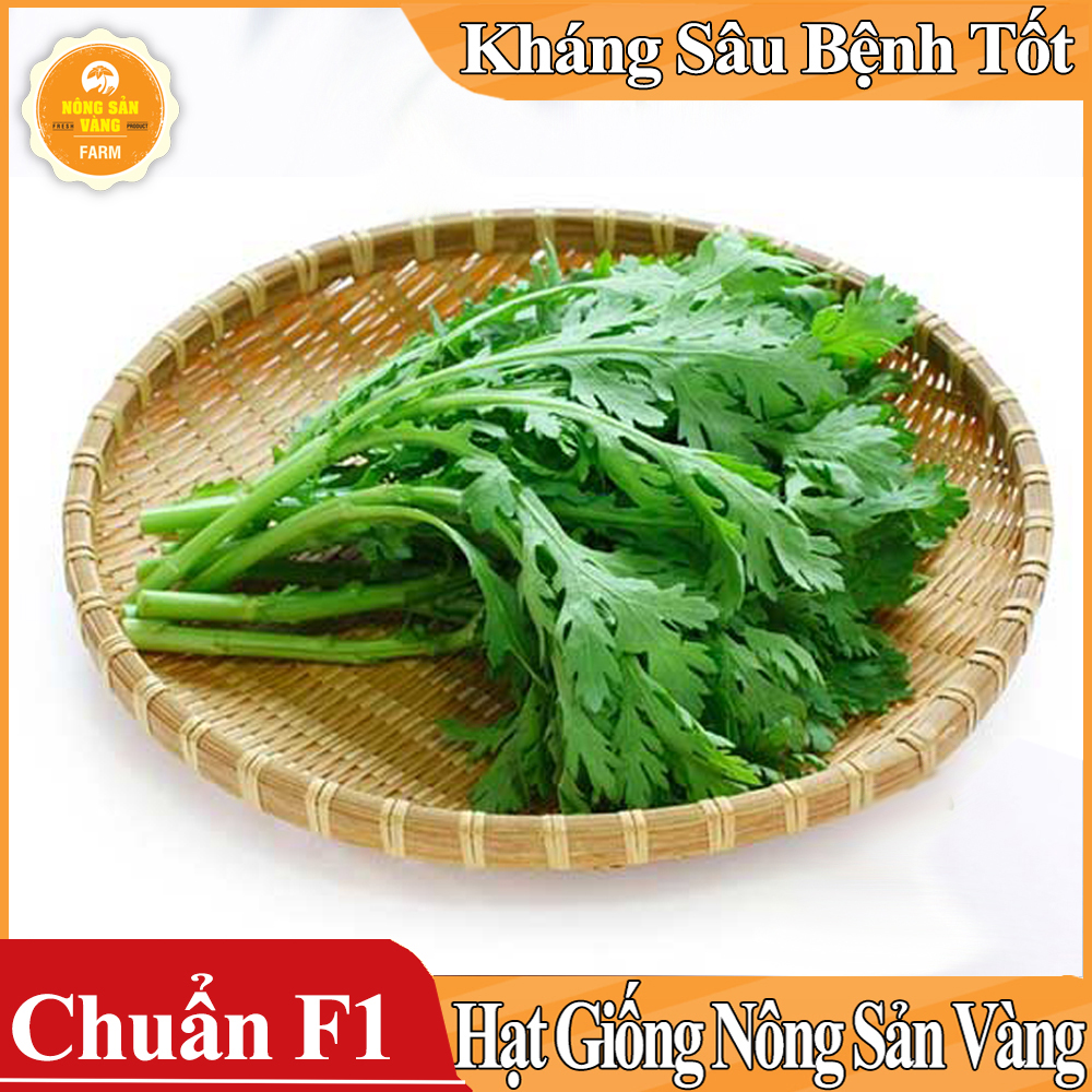 Hạt giống Rau Cúc Té , Rau Tần Ô ( Gói 20 Gram )