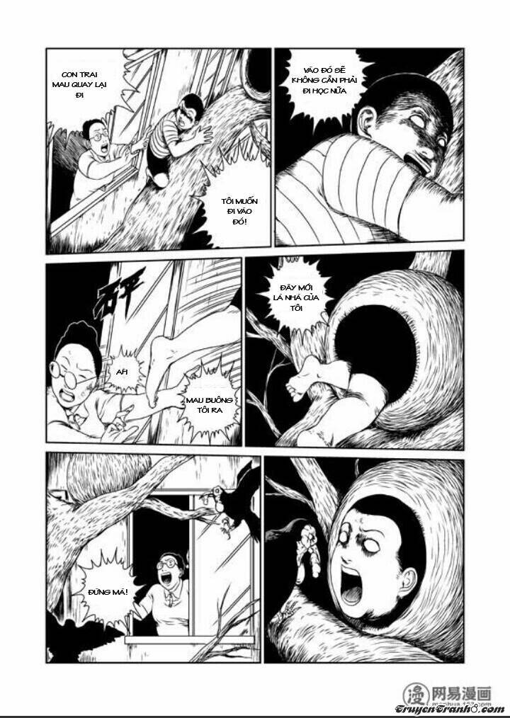 tổ chim chapter 1 24