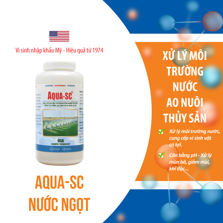 AQUA SC - Vi sinh xử lý nước hồ cá cảnh, cá koi, cá chép, nước ao nuôi trồng thủy sản - Chai 1 quarter