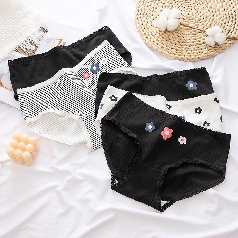 Quần Lót Nữ Cotton Kháng Khuẩn Ngang Eo Xuất Nhật Hàng Loại Đẹp.