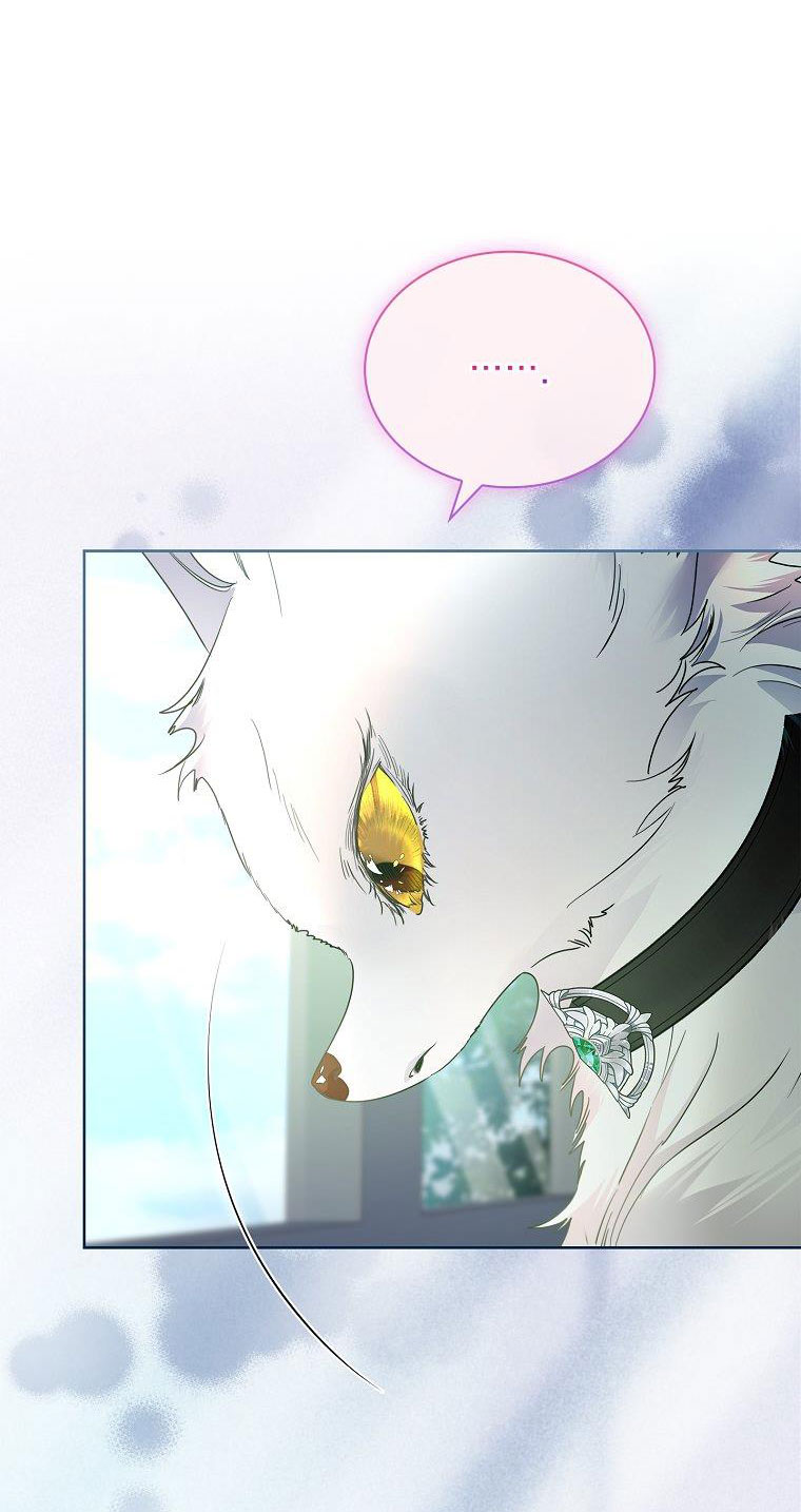 Tôi Đã Nuôi Hồ Ly Sai Cách Rồi chapter 36.1 5