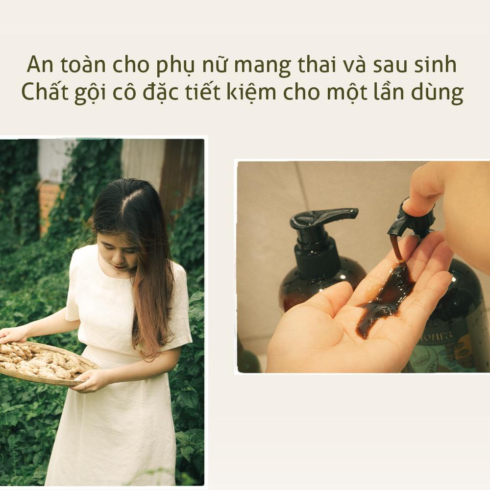 Dầu Gội Gừng Tươi Thảo Mộc The Fleura Cho Tóc Dầu Giúp Mượt Tóc Ngăn Gàu Giảm Rụng Tóc Hỗ Trợ Mọc Tóc