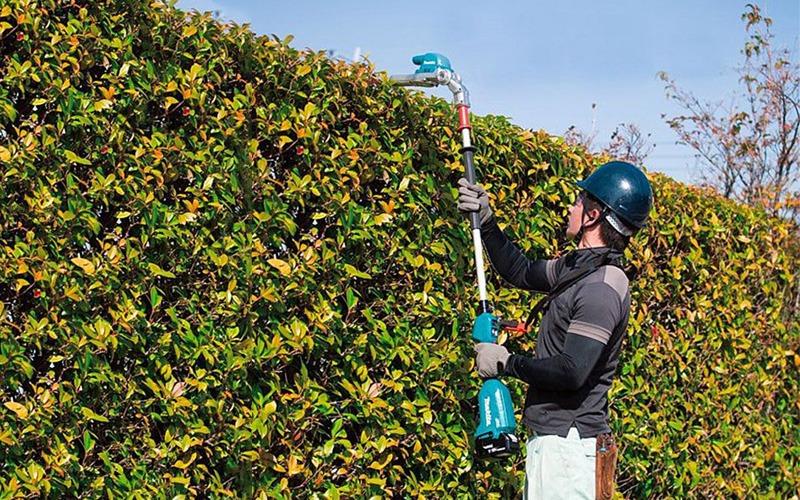 MÁY TỈA HÀNG RÀO DÙNG PIN  MAKITA DUN600LZ  - HÀNG CHÍNH HÃNG