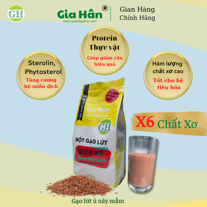 BỘT GẠO LỨT NẨY MẦM [500G] [ GIẢM CÂN - NHIỀU CHẤT XƠ ] GIAHAN FOOD .