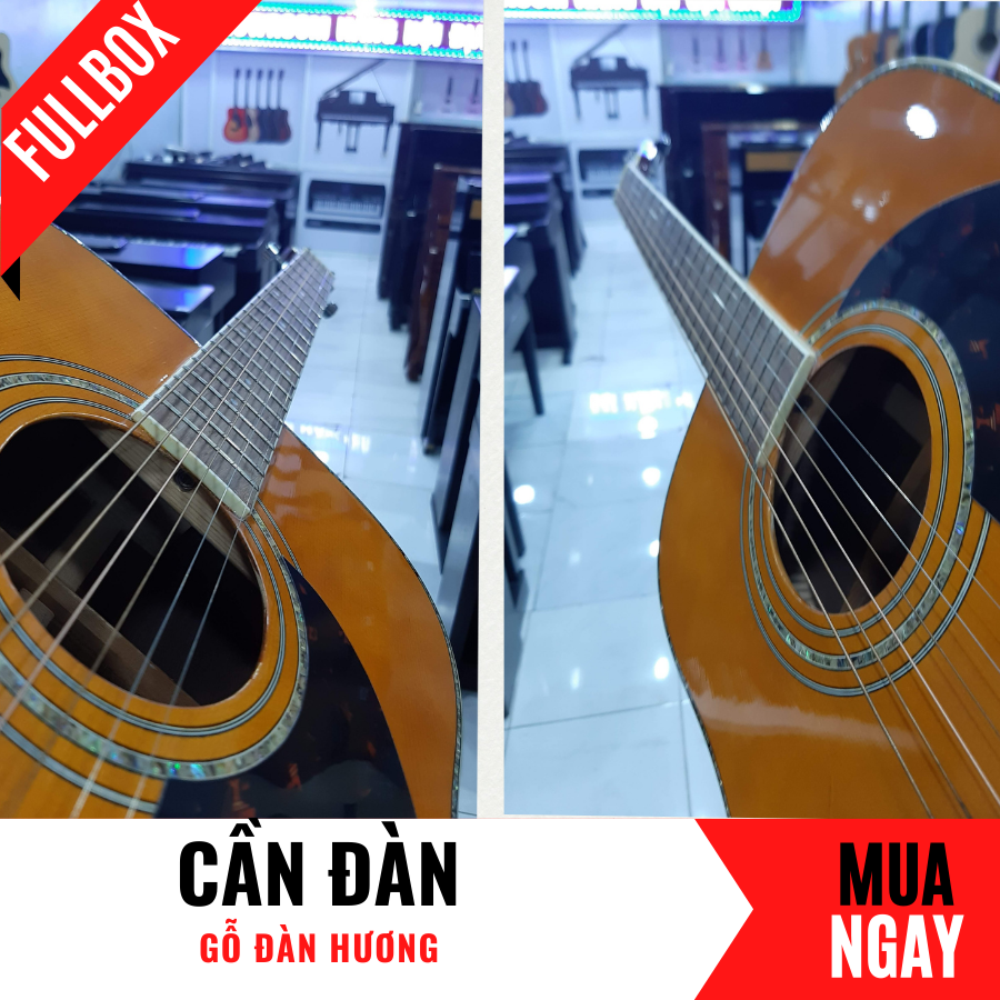 Đàn Guitar Acoustic Morris Bằng Gỗ Đàn Hương Cao Cấp + Phụ Kiện (Size 4/4)