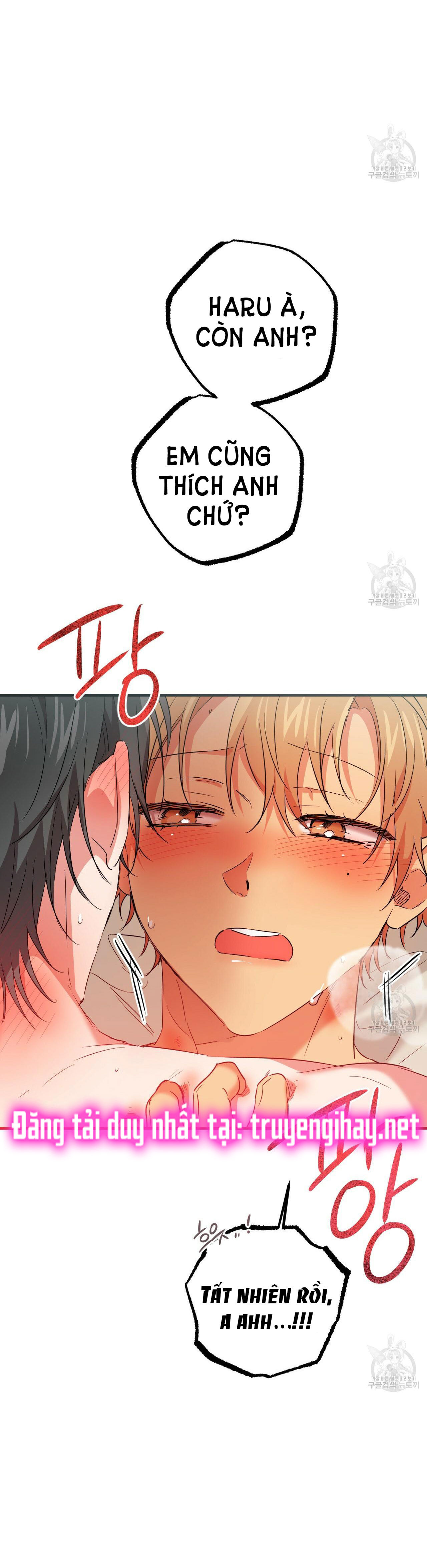 những chú thỏ của hapypy chapter 54.2 45