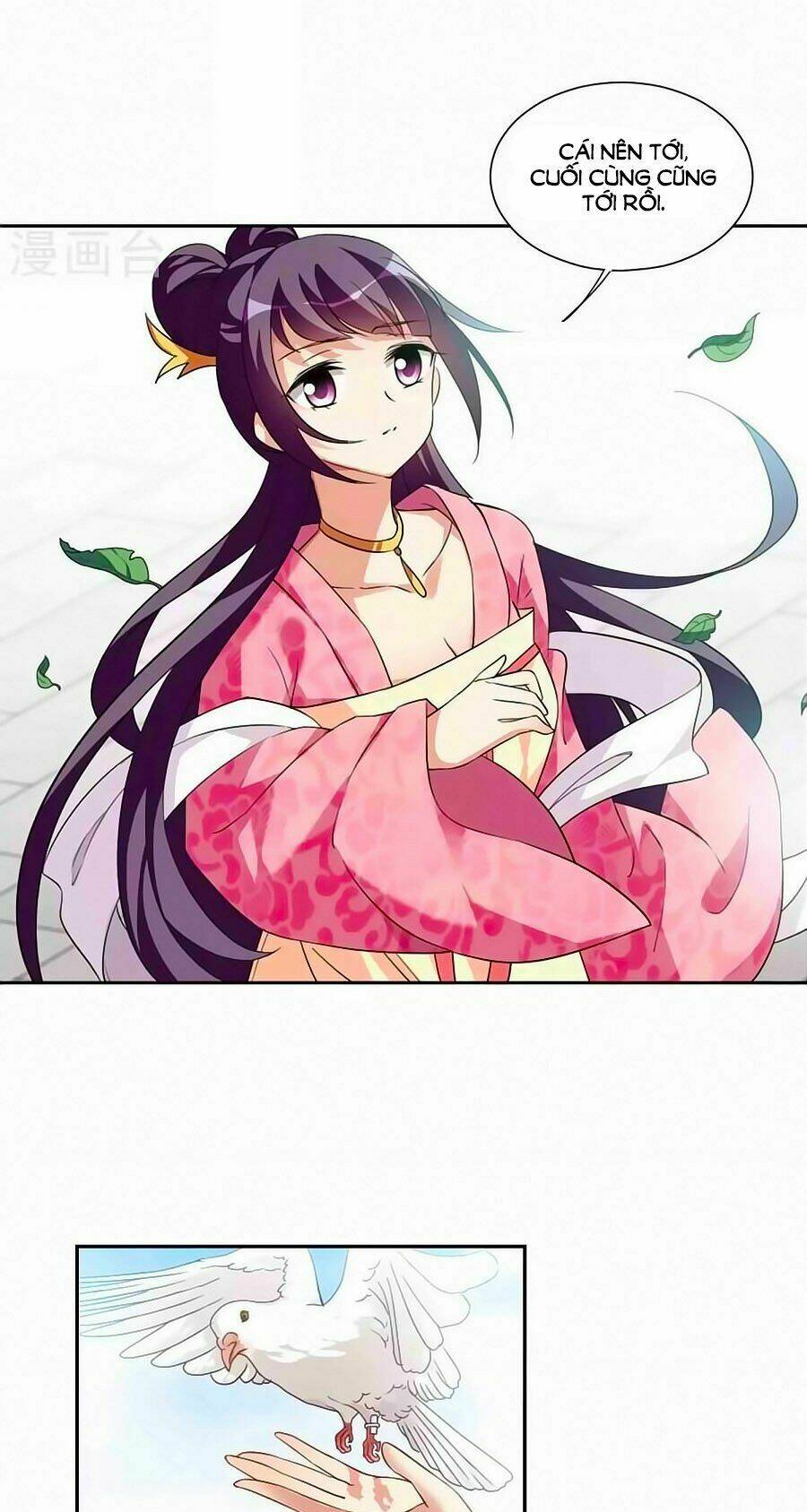 toàn cơ từ chapter 31.1 16