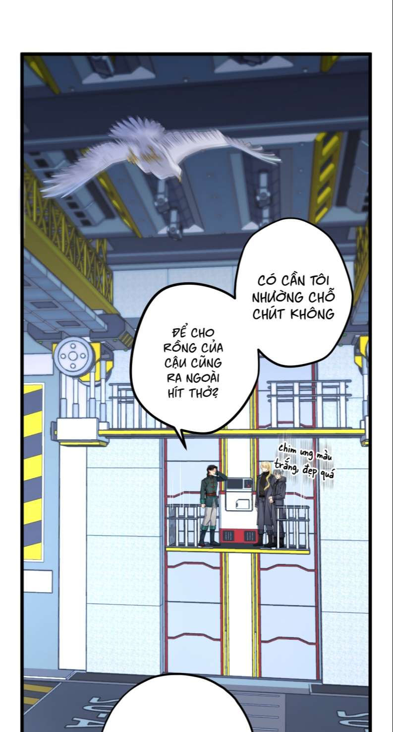 esport nhất kiến chung tình? chapter 20 40