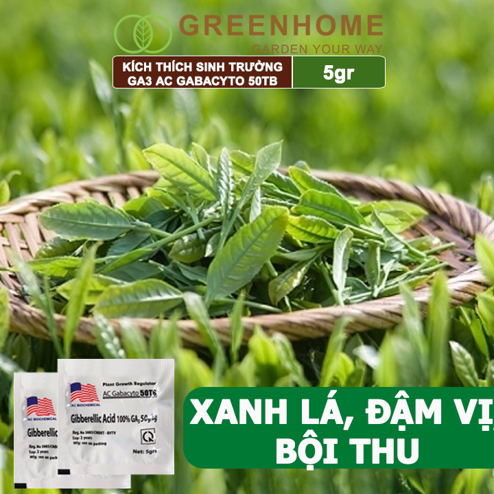 Phân bó lá cao cấp GA3 Greenhome, Gibber 50TB, viên 5gr, dạng sủi, kích thích ra đọt, bông lớn, trái to