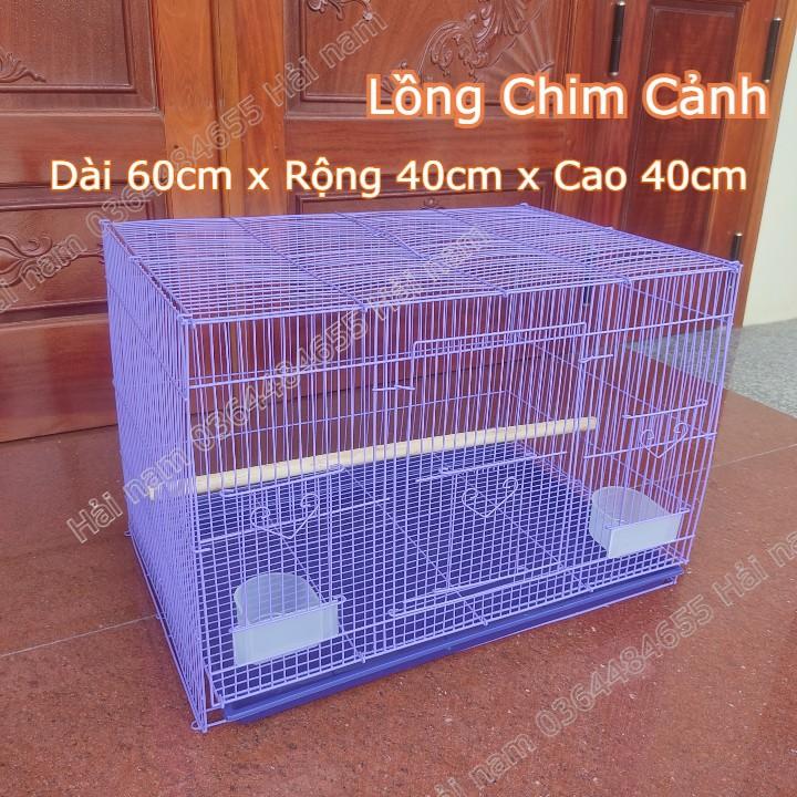 Lồng nuôi Yến Phụng LOẠI 60x40x40cm Lồng nuôi chim cảnh nhỏ