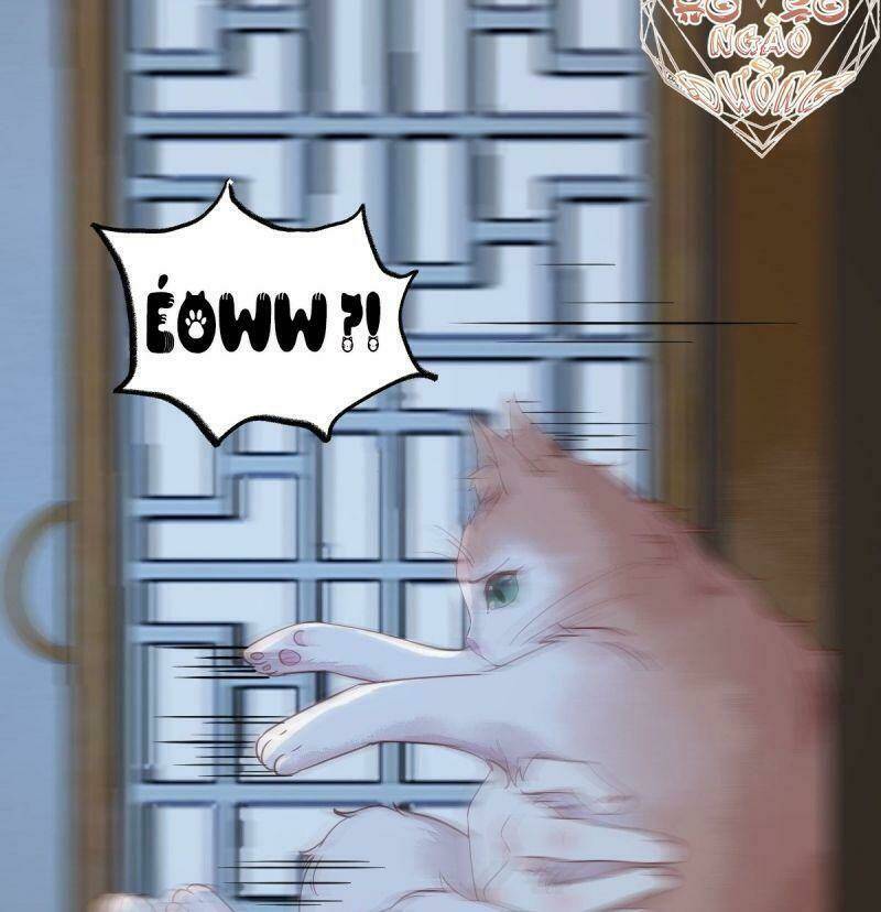 sát thủ vương phi không dễ chọc chapter 37 43