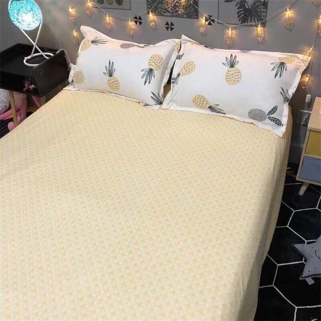 Bộ poly cotton dứa 4 món mẫu hot