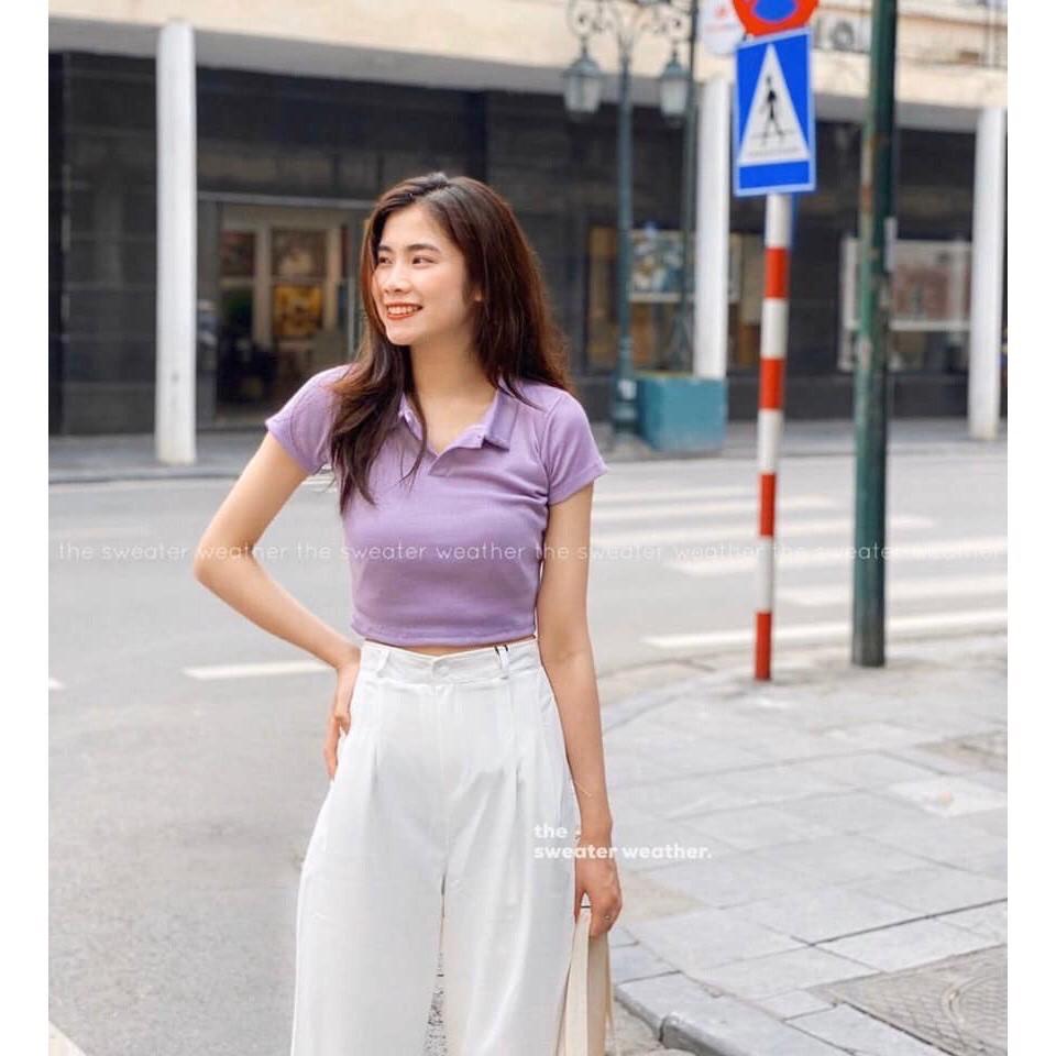 ÁO CROPTOP CỔ SƠ MI BASIC giá tận xưởng