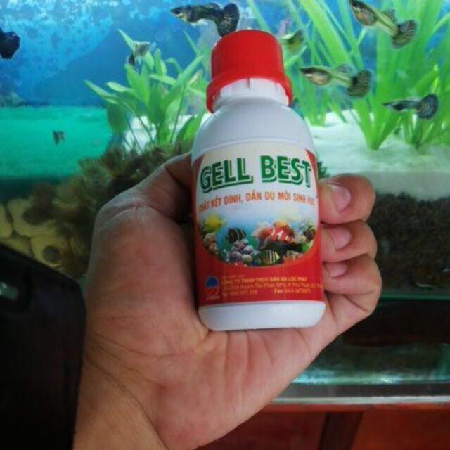 GELL BEST: Chất kết dính thức ăn cá cảnh